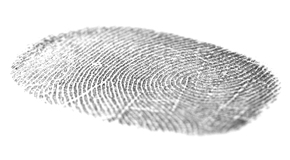 Advice on dealing with theft by staff