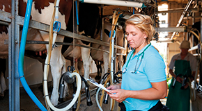 Charging for services in farm practice