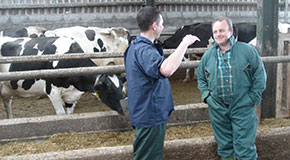 Dispensing advice to farmers - some secrets to success