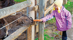 Giving back to the community - A very rewarding exercise