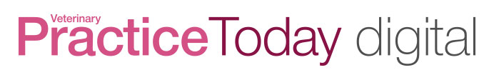 Veterinary Practice Today - Please load images