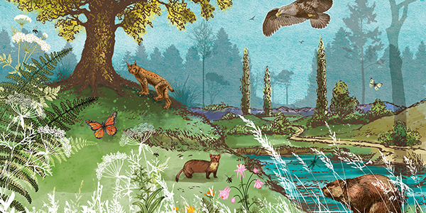 Habitat restoration and rewilding - working at the interface between humans, animals and the environment