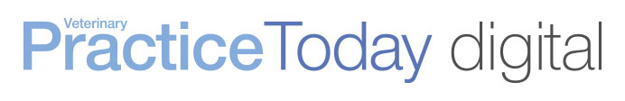 Veterinary Practice Today - Please load images