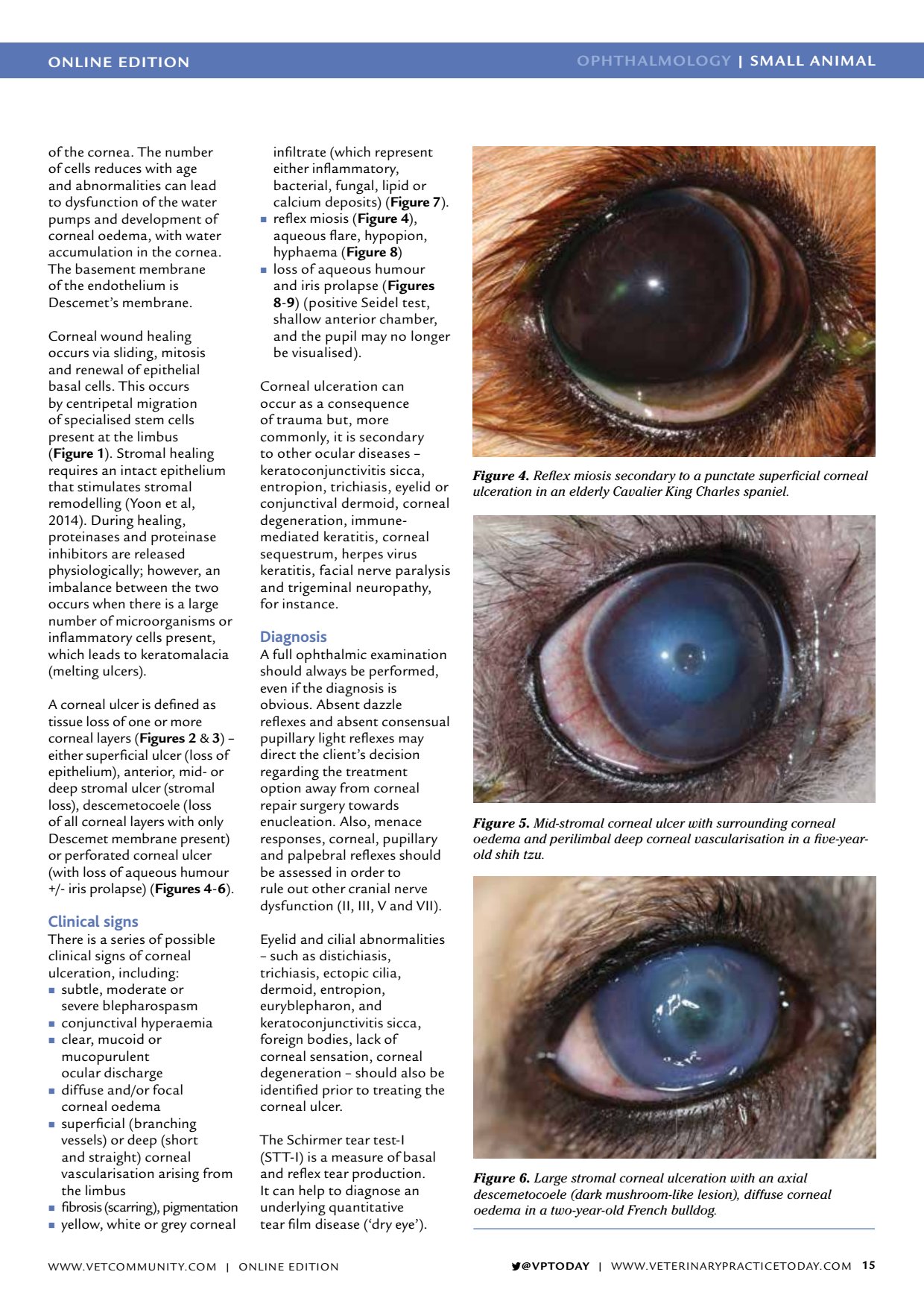 Clinical signs Diagnosis