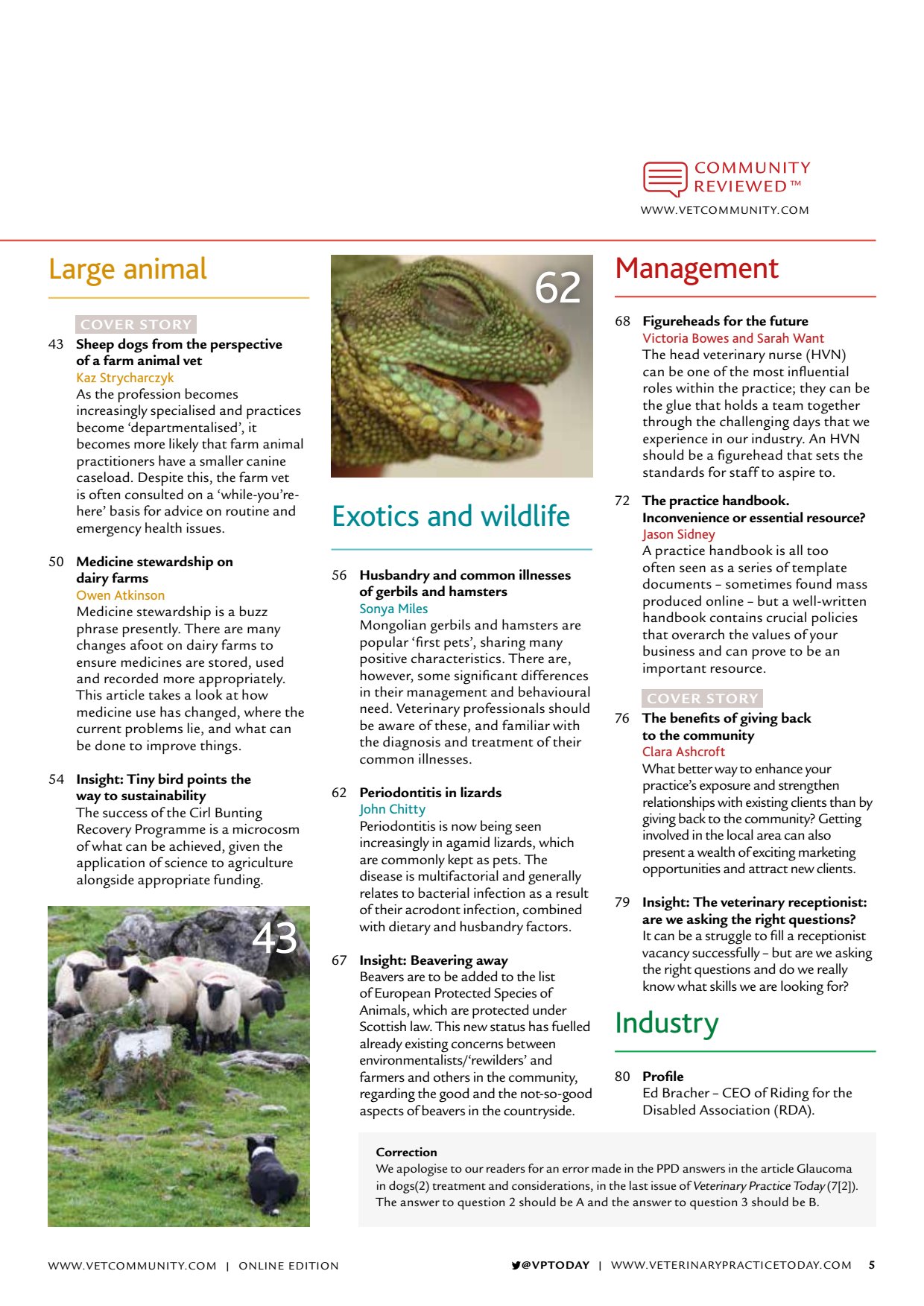 COVER STORY Sheep