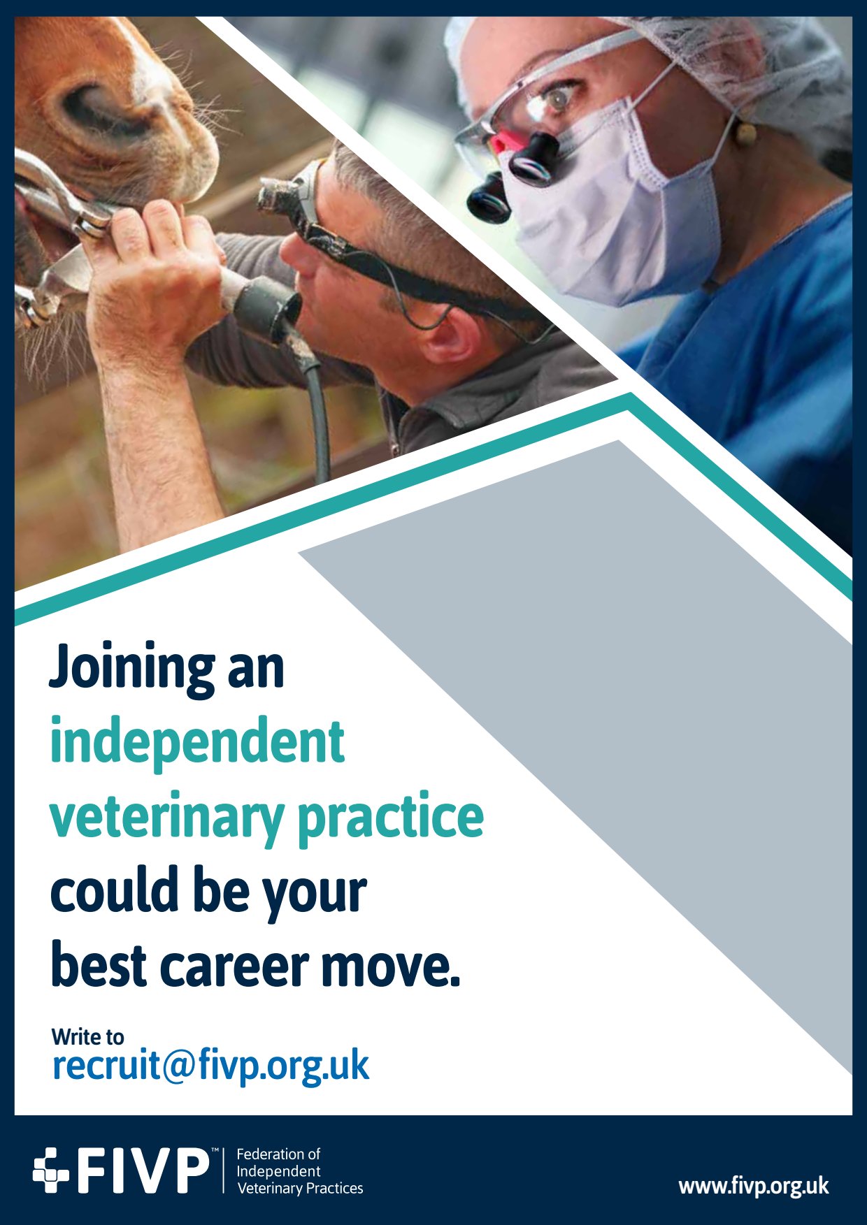 Joining independent veterinary
